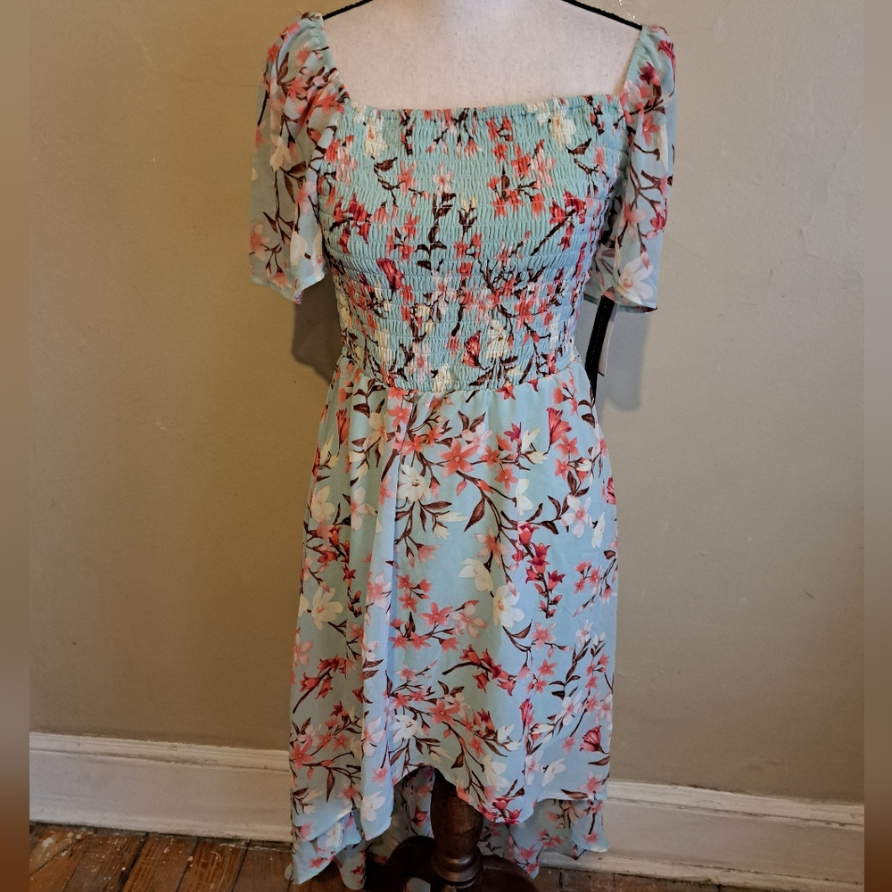 As You Wish Dress. Size small. Sheer Skirt Half Lined.